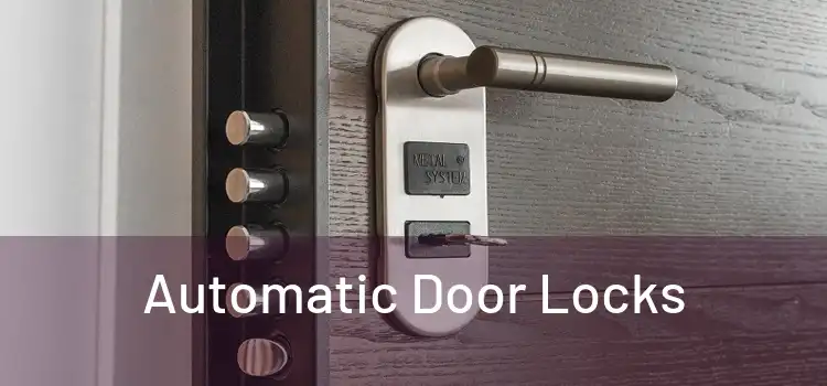 Automatic Door Locks